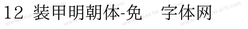 12 装甲明朝体字体转换